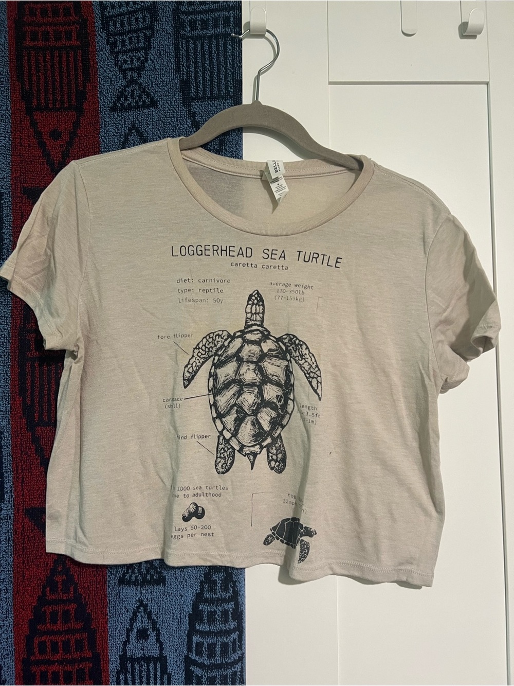 Bella Canvas Beige Loggerhead Sea Turtle Diagram Tee